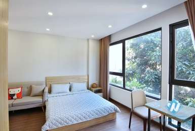A bright and cheap studio apartment for rent in To Ngoc Van, Tay Ho, Ha Noi